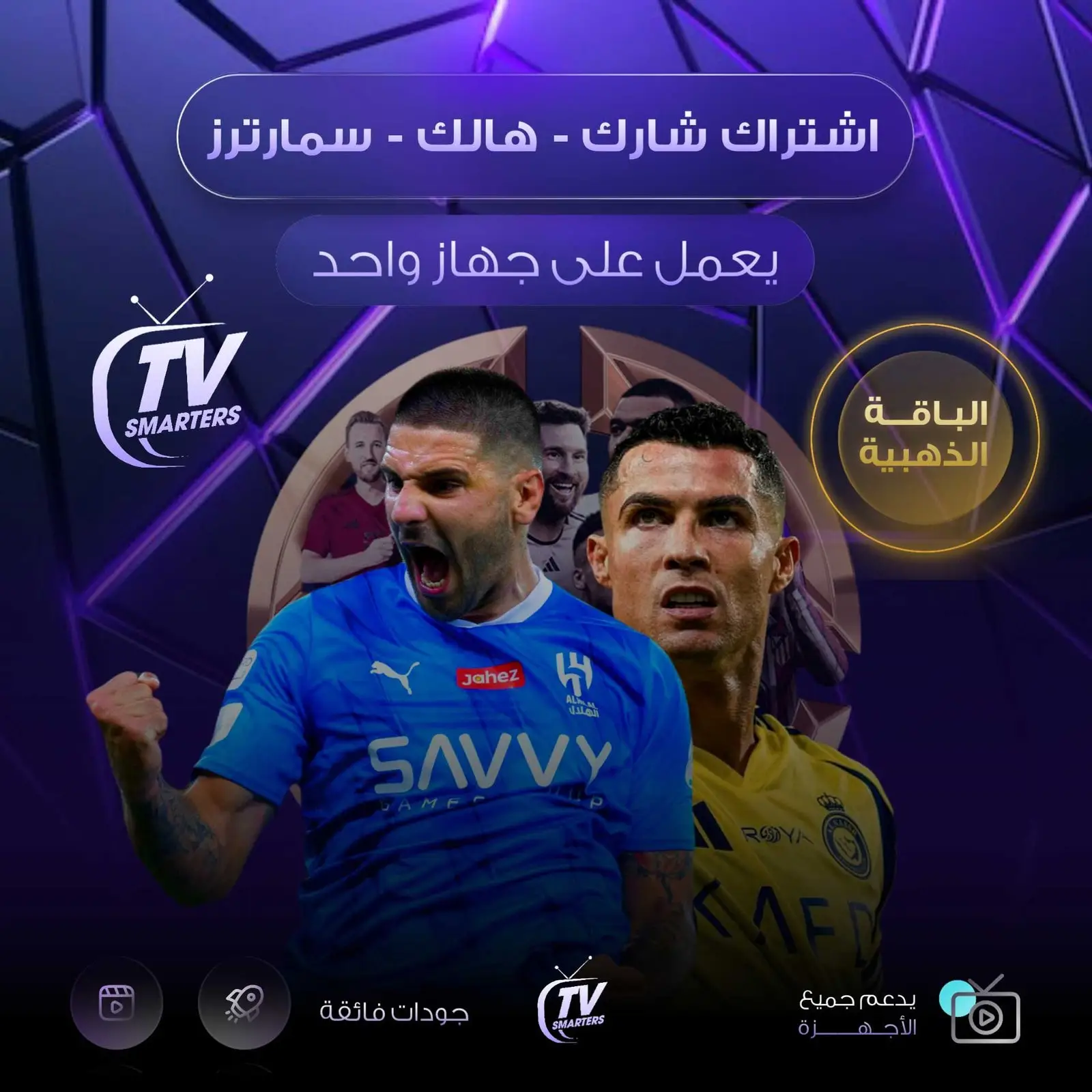 اشتراك شارك + هولك + سمارترز سنة يعمل على جهاز واحد